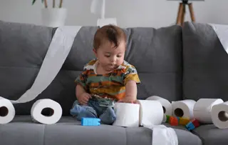 De quoi sont faits les papiers ? Fibres de bois vierges