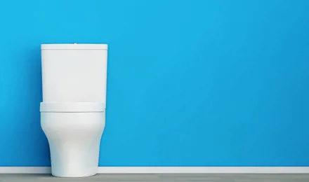 Nettoyer Toilettes
