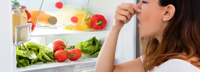 7 astuces simples pour supprimer les mauvaises odeurs de votre frigo -  Cuisine et Recettes - Recette - Femmes d'Aujourd'hui Délices