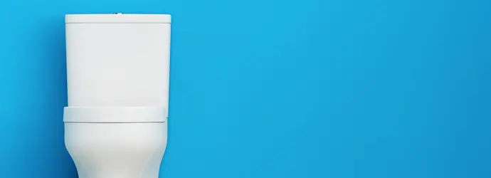 Comment nettoyer les toilettes ?