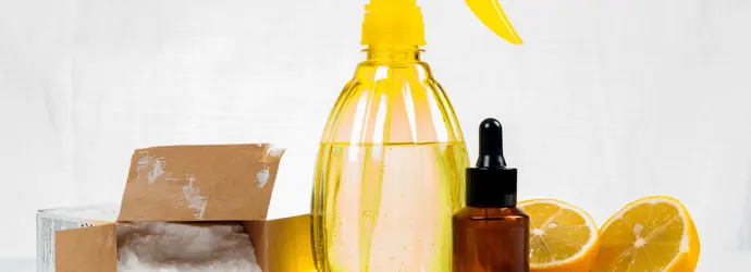 6 natuurlijke schoonmaakmiddelen om je huis te reinigen