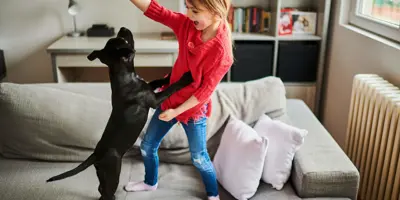 Een nieuwe puppy - checklist voor hondenbenodigdheden