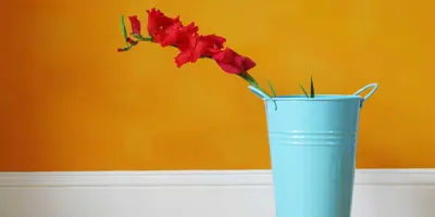 Plinthe blanche séparant un plancher en bois et un mur orange