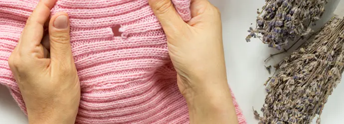 Adieu les mites : comment se débarrasser des mites ?