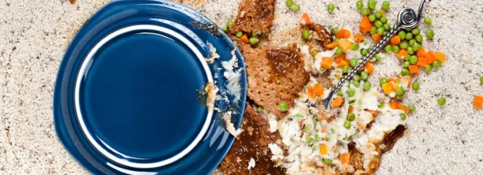 Assiette de nourriture renversée sur un tapis blanc