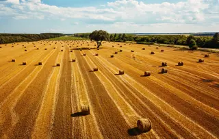 La fabrication du papier avec des fibres recyclées