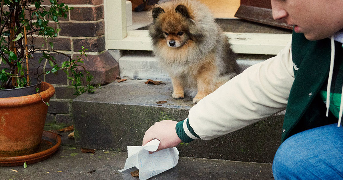 Comment nettoyer les pattes boueuses de mon chien ? Okay