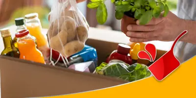 Une boîte de courses, et 2 mains qui attrapent une plante ainsi qu'un sac en filet contenant des pommes de terre.