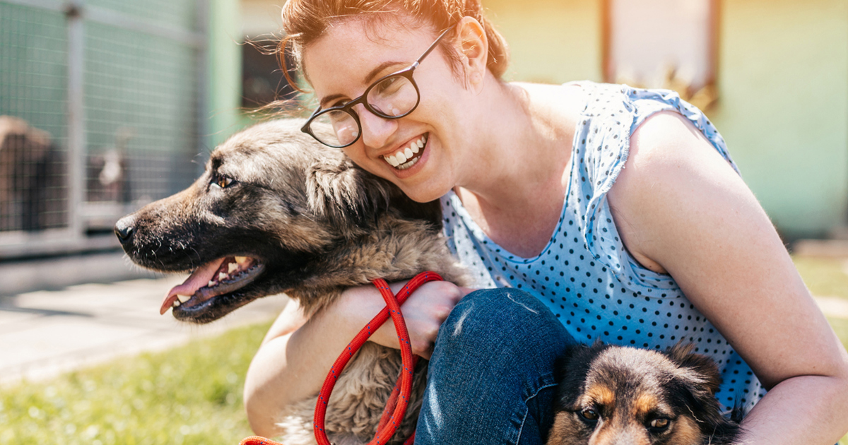 Bénévolat et animaux comment et où s’engager Okay