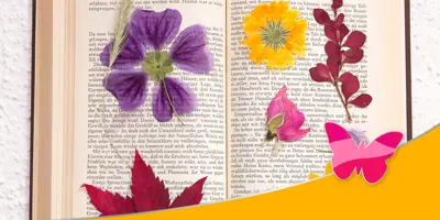 Fleurs séchées dans un livre ouvert