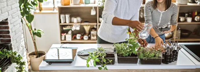 Le B.A-BA de la conservation des herbes aromatiques