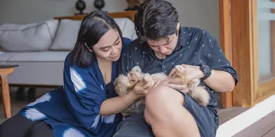 SOS j’ai des puces chez moi ! Astuces pour une maison sans puces