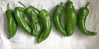 Comment conserver des légumes frais avec du papier essuie-tout